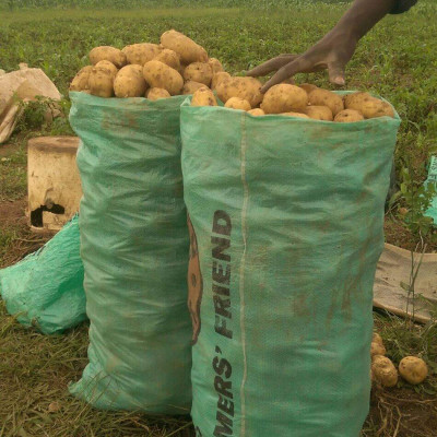 Potatoes 50 kg