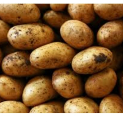 Potatoes 50kg