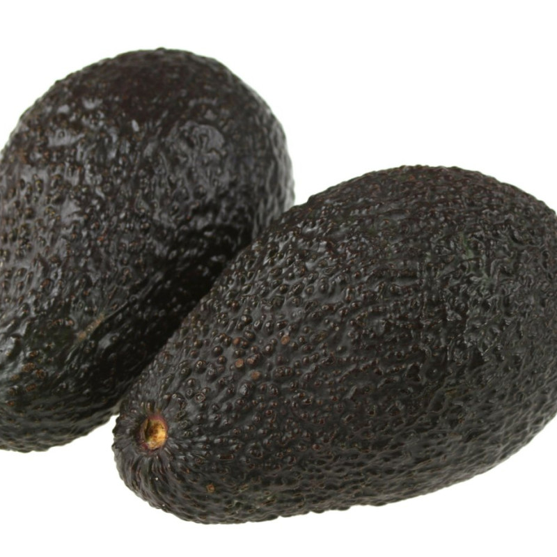 Avocado - 90 kgs